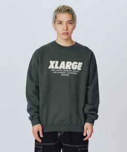 CHENILLE LOGO CREWNECK SWEATSHIRT