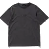 S/S PIGMENT TEE STANDARD LOGO