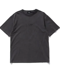 S/S PIGMENT TEE STANDARD LOGO