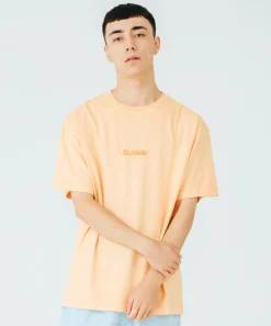 S/S PIGMENT TEE STANDARD LOGO